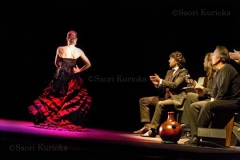 Flamenco09