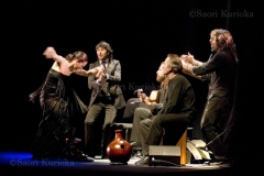 Flamenco09