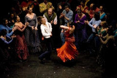 Web_flamenco4