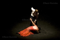 Web_flamenco5